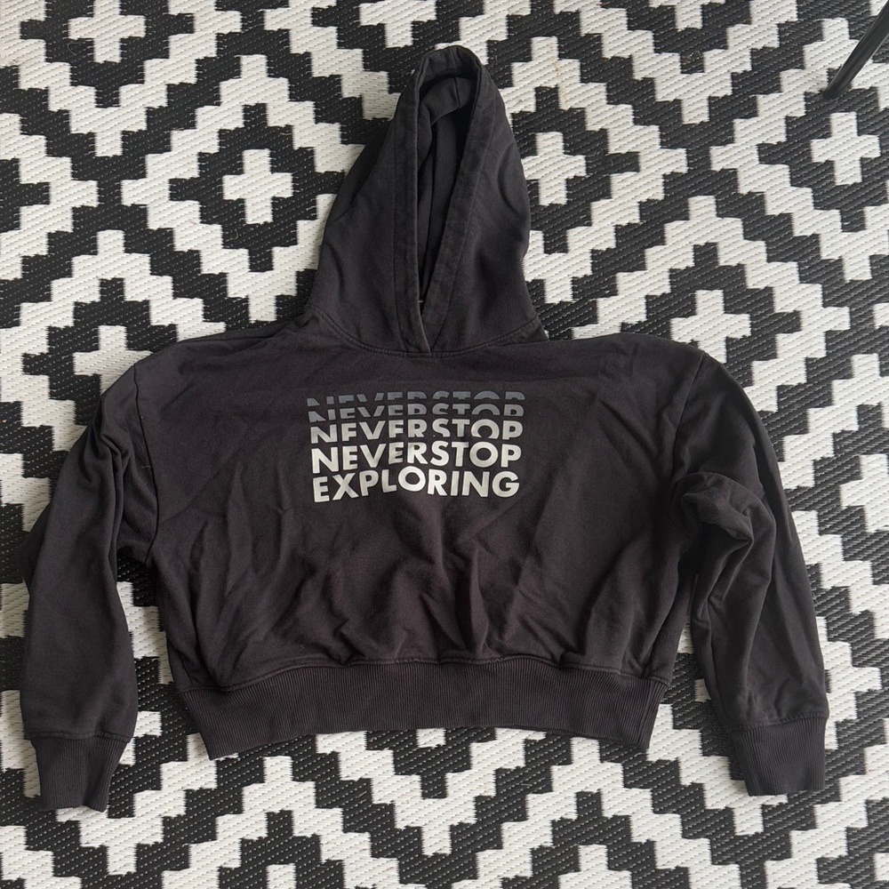 THE NORTH FACE “Logo Play” Cropped Hoodie - L